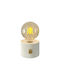 Decorative LED Lantern Light 15x9cm