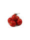 Red Apples Set 5 Pieces Candle Holder 15x14cm