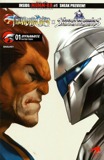 Thundercats X Silverhawks 1 Cover D Ben Oliver, Cover D Ben Oliver Variant PB