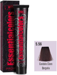 PostQuam Professional Color PostQuam Professional Color