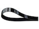 Dayco Micro-v Riemen 1275725