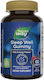 Nature's Way Sleep Well Gummies Nature's Way 60 Gummies
