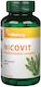 Vitaking Nicovit Мултивитаминен Комплекс Vitaking 30 Таблетки
