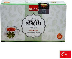 Nurs Lokman Hekim Alchemilla