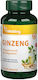 Vitaking Ginseng Extrakt 100 Mg Vitaking 60 Kapseln