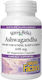 Natural Factors KSM-66 Ashwagandha Pflanzliche Nahrungsergänzungsmittel 90 Kapseln