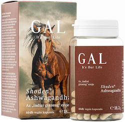 Gal Shoden Ashwagandha Gal 60 Капсули Gal Shoden Ashwagandha Gal 60 Капсули