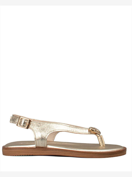 Women's Flat Sandals Gold 212 Gold