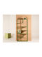 Bookcase Dallas 4919 Green 80x26x164cm