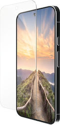 dbramante1928 Tempered Glass (Google Pixel 9 / 9 Pro) dbramante1928 Tempered Glass (Google Pixel 9 / 9 Pro)