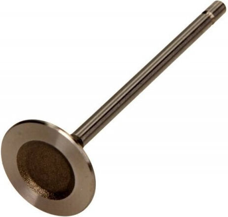 Βαλβίδα Εισαγωγής Renault 1.4/1.6 16v Vl123400