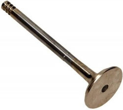Exhaust Valve VW 1 9d/td 1y/aaz Exhaust Valve VW 1 9d/td 1y/aaz