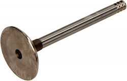 Intake Valve Vw 1.4 1.9 2.0 2.5 Tdi 6v 8v 10v Intake Valve Vw 1.4 1.9 2.0 2.5 Tdi 6v 8v 10v
