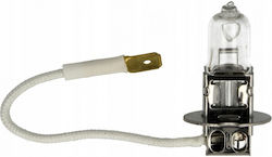 Halogen Lamp H3 12v 55w Hart H3-1