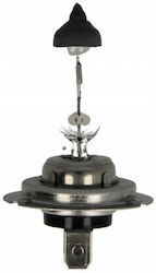 Halogen Lamp H7 12V 55W Hart H7-1