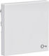 Gira Recessed Wall Switch with Transparent Frame