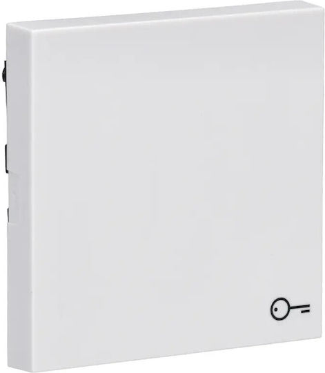 Gira Recessed Wall Switch with Transparent Frame