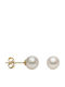 Stud Earrings Made of 14K Gold With Pearls