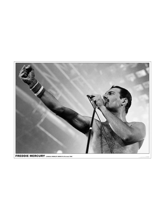 Плакат Queen Freddie Mercury Maxi Poster 61x91.5см #715 G877320 Плакат Queen Freddie Mercury Maxi Poster 61x91.5см #715 G877320