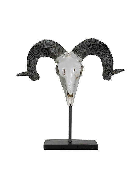 Decorativ Ram Decorative Skull 29,5cm 13738