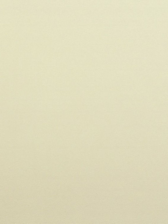 Alfa Wood Плот от ПДЧ 420x64cm INM204474