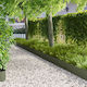 vidaXL Metallic Garden Hedge 1m x 25cm 30 Pieces