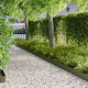 vidaXL Metallic Garden Hedge 1m x 15cm 20 Pieces