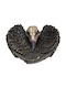 Decorative Raven Skull Tray 17cm 13600