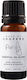 Purify Essential Oil Rosemary 10ml