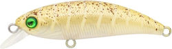 Han Fishing Zipir 50 Kg 5 Pcs 4.5 Gr Kum Pire