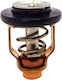 Termostat Suzuki Df70-df300 72 Grade