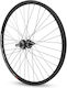Saks 28"