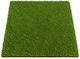 Synthetic Lawn in Roll 4x30m and Pile Height 15mm