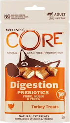 Wellness Core Verdauung Katzenleckerlis mit Türkei 50g Wellness Core Verdauung Katzenleckerlis mit Türkei 50g