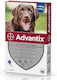 Elanco Elanco Hundeergänzungsmittel & Vitamine Multivitamine für Hunde 4ml für Haut & Haar