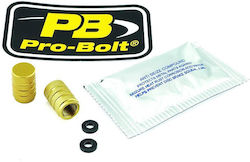 Gold Aluminum Valve Caps Pro Bolt