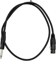 Tune XLR De Sex Masculin - 1m P62TU008