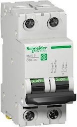 Schneider Electric Industrielles Relais M9U21206