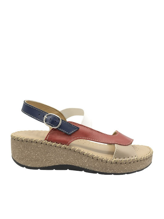 Castor Anatomic Anatomic Summer Women's Blue Pl...