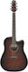 Ibanez Akustikgitarre