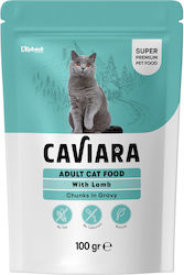 Caviara Υγρή Τροφή 100gr Caviara Υγρή Τροφή 100gr