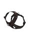 William Walker Dog Harness Apex Y Brown Light Mesh & Neoprene Small 46-63cm