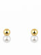 Kloxx Stud Earrings Gold 9K With Pearls