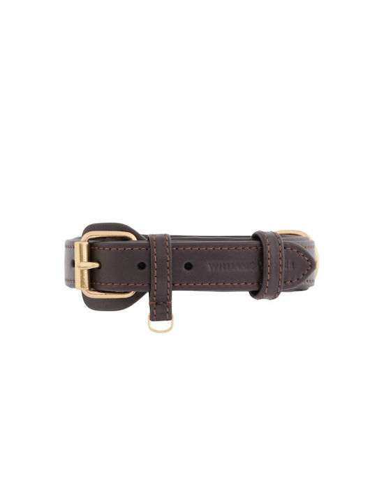 William Walker Guler Pentru Câini Din Piele Maro Plain Collection XXSmall 22cm