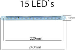 Weißes Clearance Licht Fr0306b 15 LED 12-24V 240mm