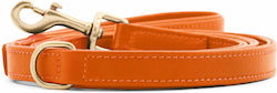William Walker Hundeleinen und -führungen Leder Orange