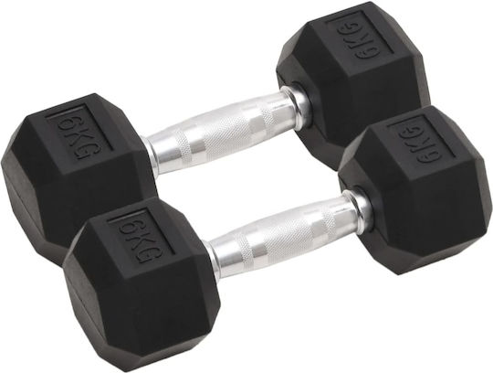 vidaXL Satz Hanteln Sechseck 2 x 6kg