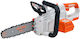 Ruris 2524e – Motoferăstrău Electric Fără Fir Brushless 20V 4Ah Lamă 250 mm Ușor 3,1 Kg Baterie Inclusă