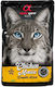 Alpha Spirit Wet Food for Adult Cats with Chicken and Pumpkin Grain Free & Gluten Free 85gr