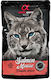 Alpha Spirit Wet Food for Adult Cats with Salmon and Pumpkin Grain Free & Gluten Free 85gr